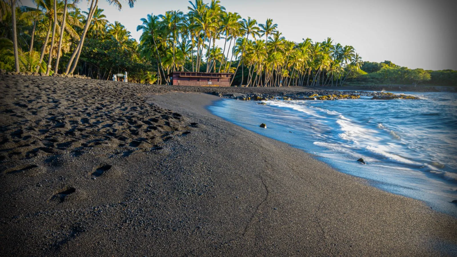 Black sand beach with palm trees and gentle ocean waves.